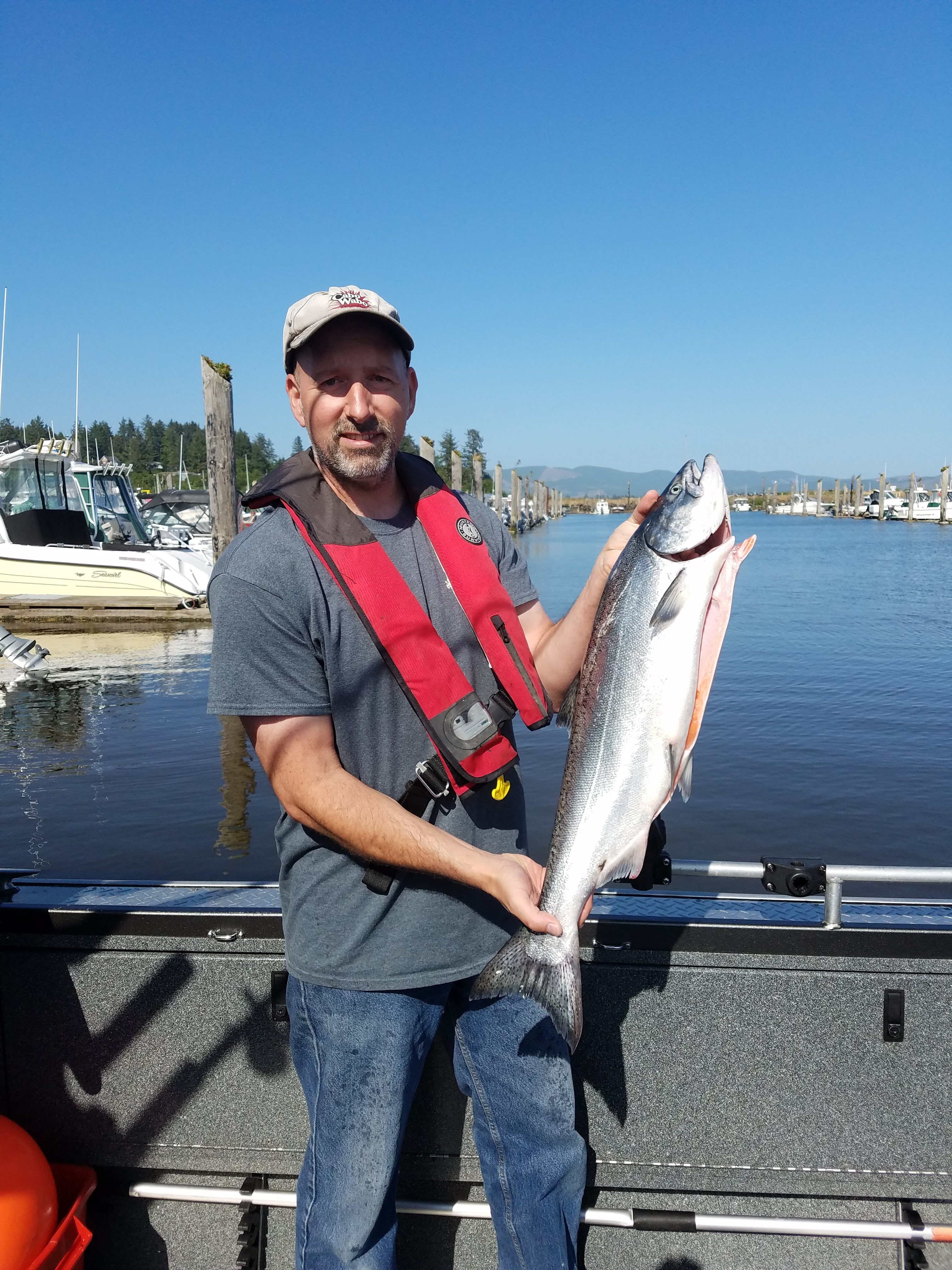 Chinook Salmon