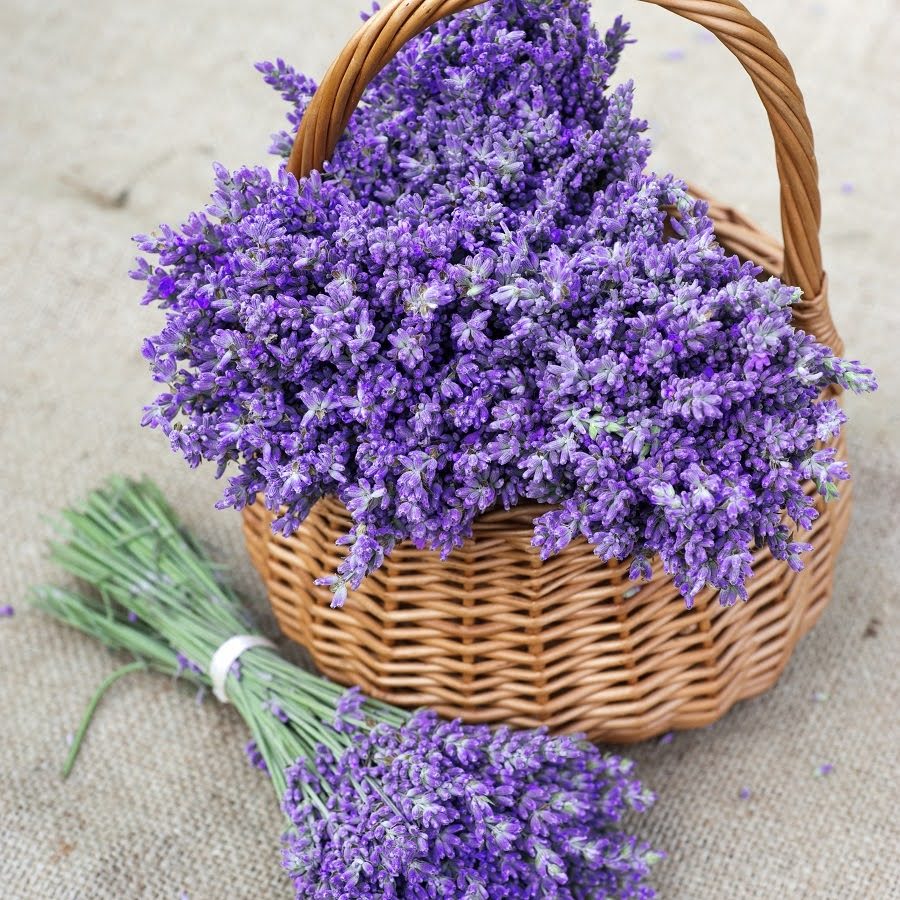 Lavender_Basket